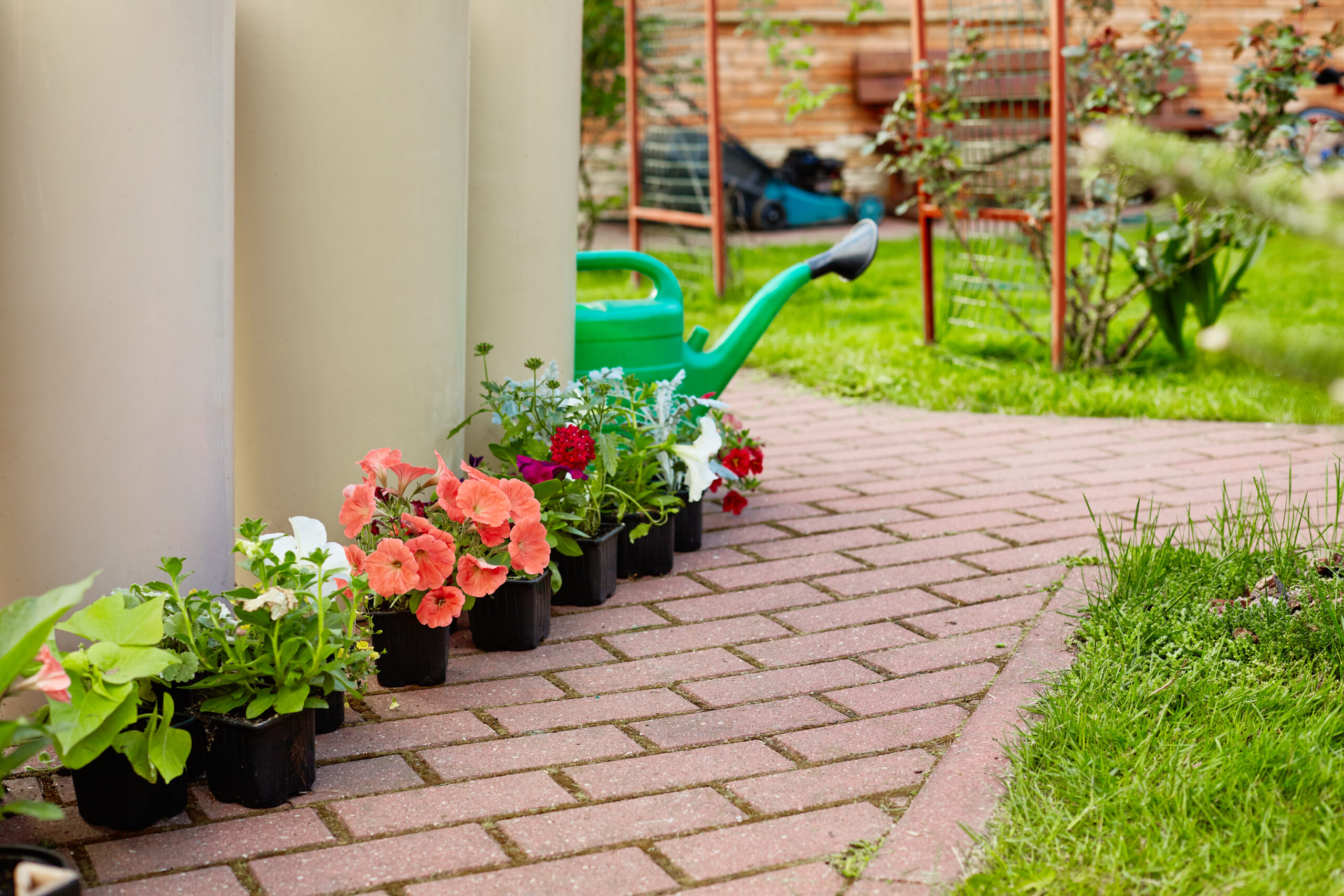 Natural Flagstone Patio